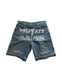 Prop. of 1800 Jorts Sz 36